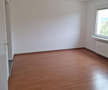 Obnova stanovanja na Vilharjevi 13