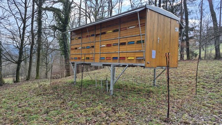 čebelnjak z elektromrežo