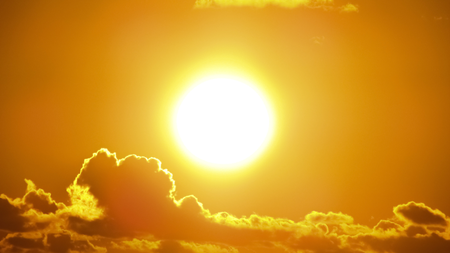 sonce
