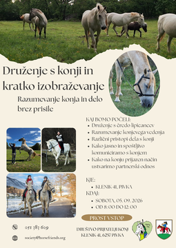Vabilo, Razumevanje konja in delo brez prisile