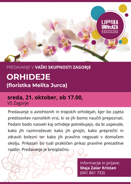 Orhideje Zagorje