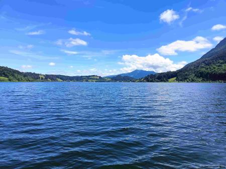 IMG20240708133528_223040