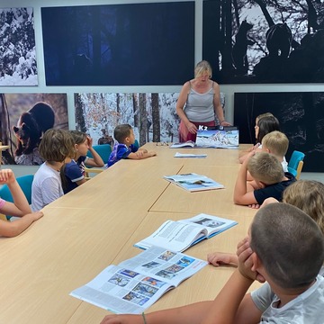 FB_IMG_1751383225022