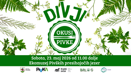 Divji-OP-2026_cover-fb_osnovni