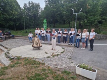Foto8