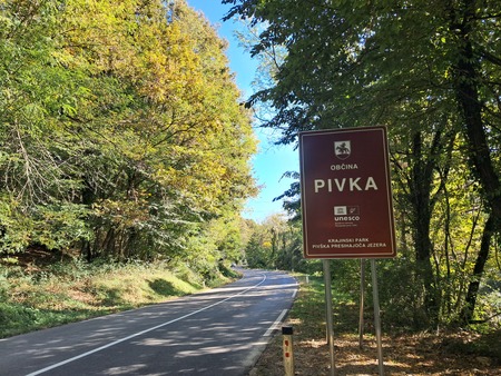 Buje
