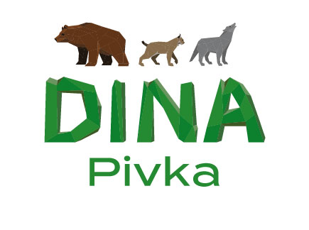 DINA_Logo_Osnovni_RGB.jpg